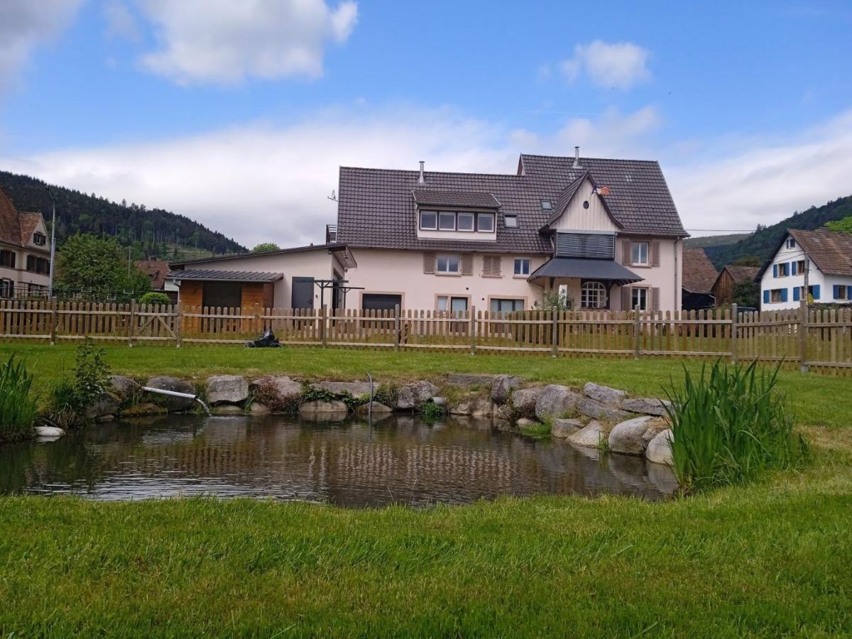 Le Gite Des Kritter Stosswihr Esterno foto