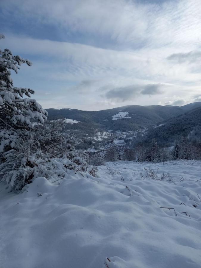 Le Gite Des Kritter Stosswihr Esterno foto