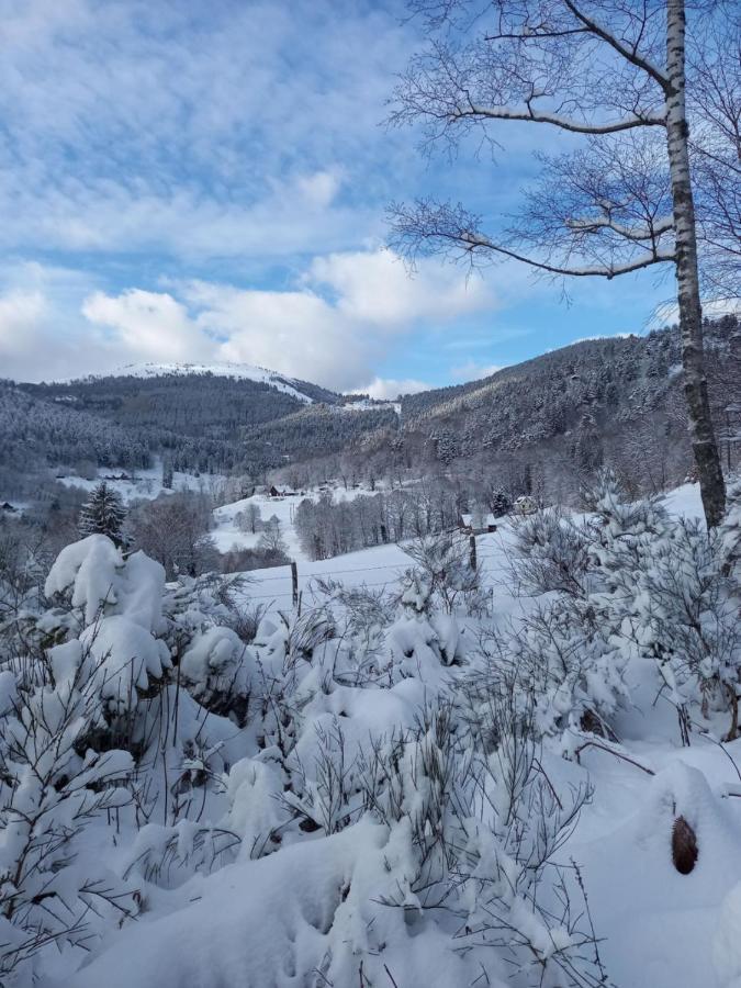 Le Gite Des Kritter Stosswihr Esterno foto